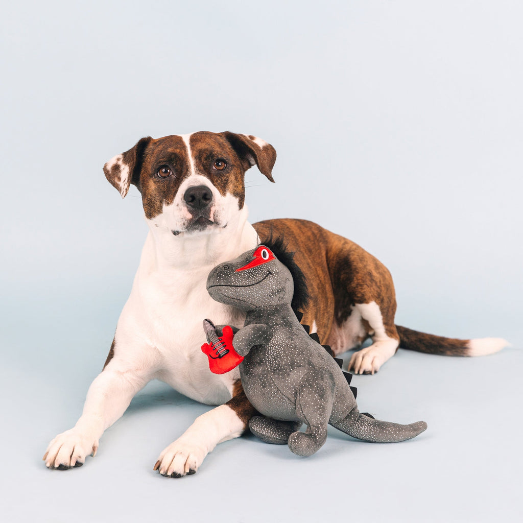 Rocker Rex Dog Toy