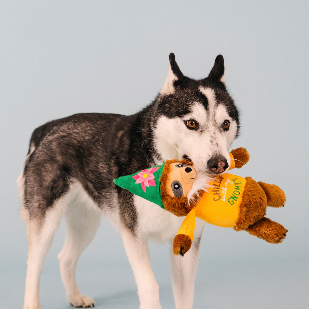 Chillin' With My Gnomies Dog Toy