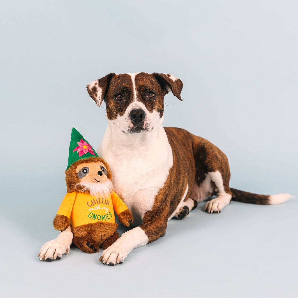 Chillin' With My Gnomies Dog Toy