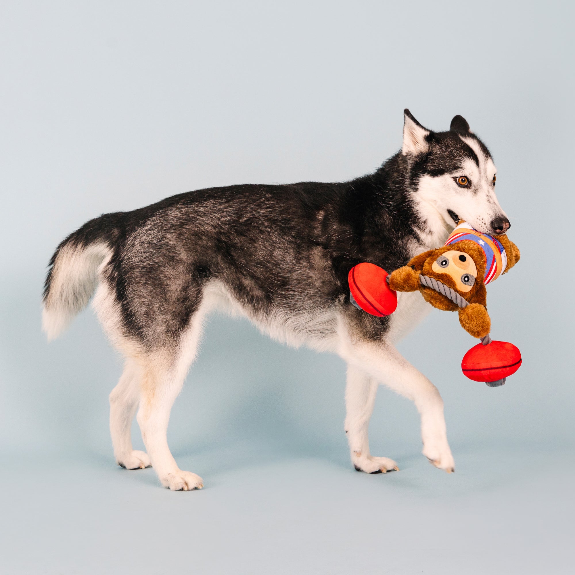 Hustle For That Muscle Plush Dog Toy
