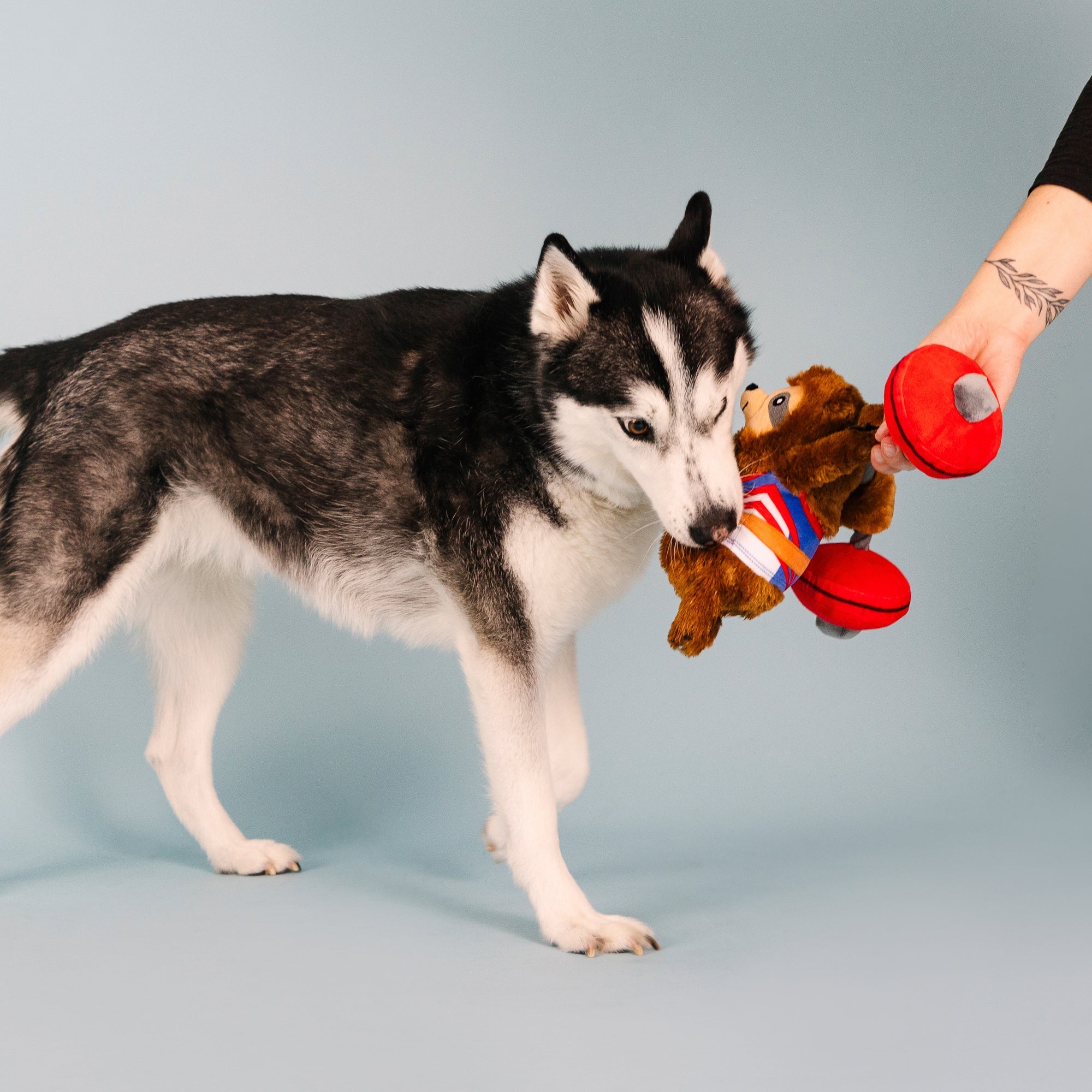 Hustle For That Muscle Plush Dog Toy