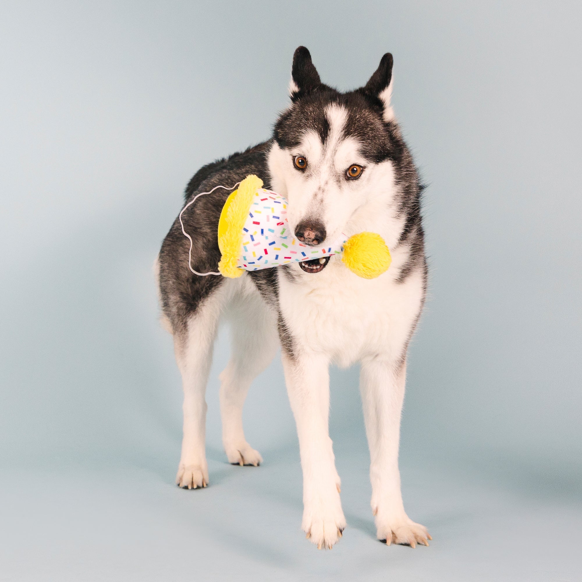 Time To Celebrate Wear Then Play Plush Dog Toy