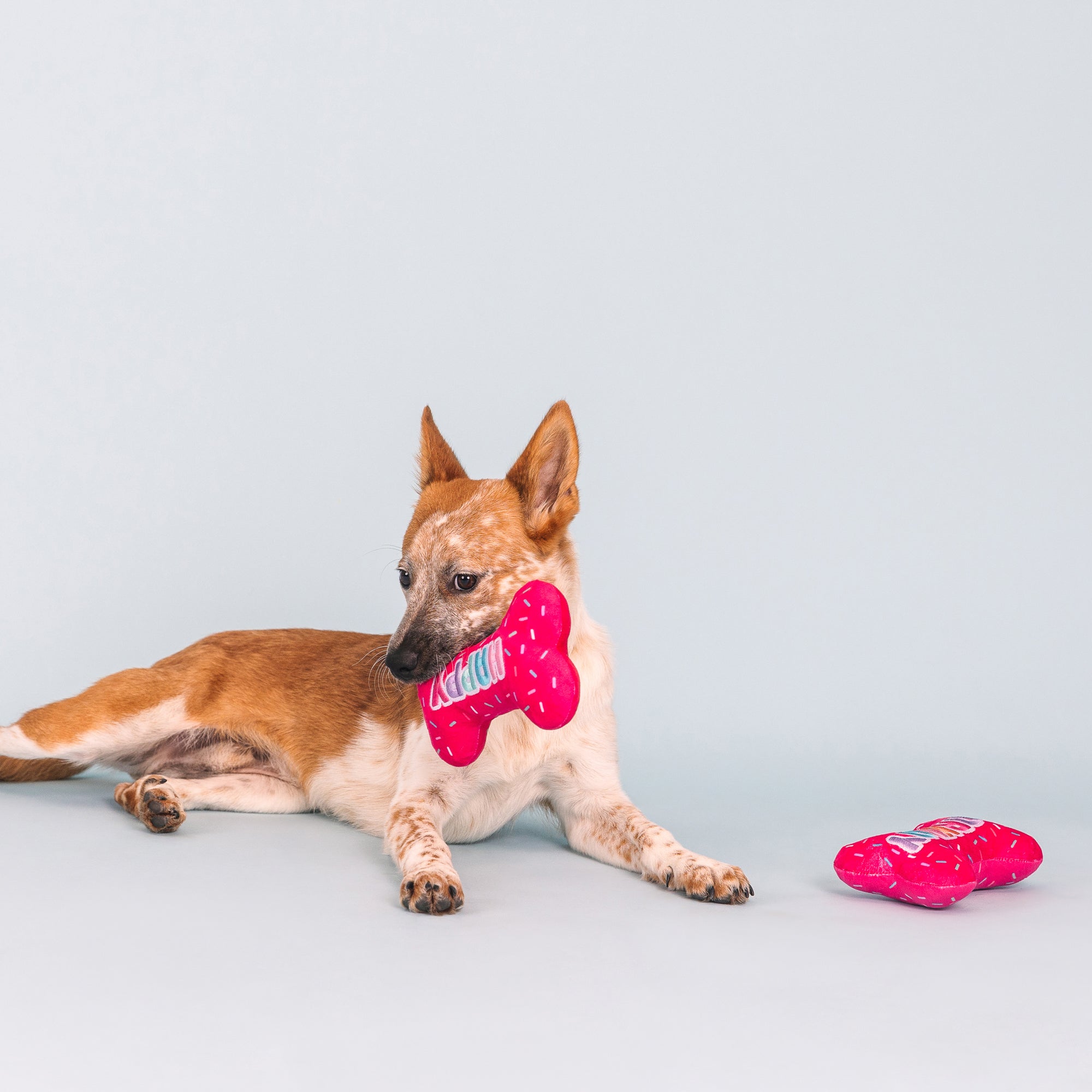 It's My Barkday 2pc Plush Dog Toy Set