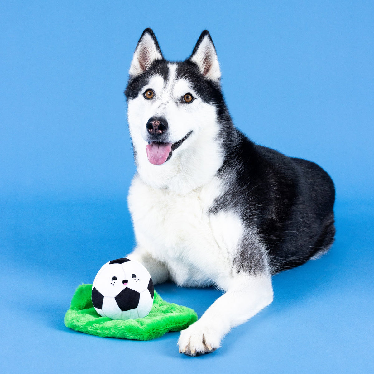 Wagsdale Just Kick It Plush Dog Toy
