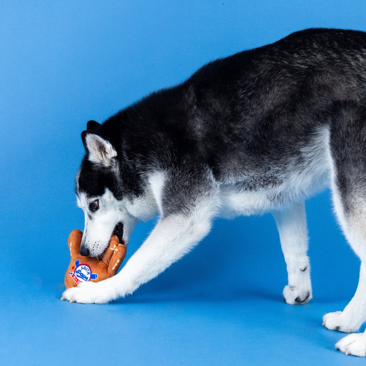 Wagsdale Catch, You're Out Plush Dog Toy