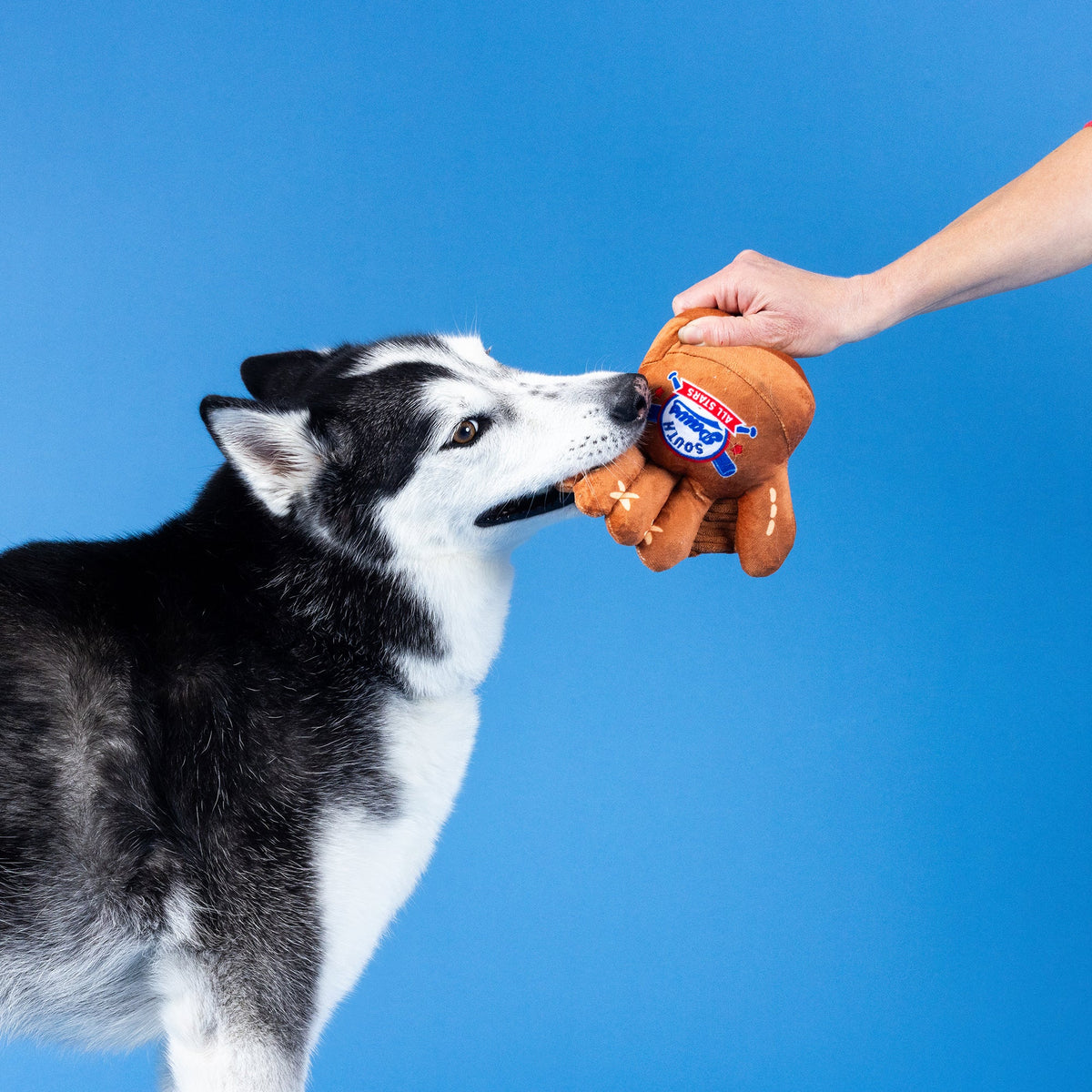 Wagsdale Catch, You're Out Plush Dog Toy
