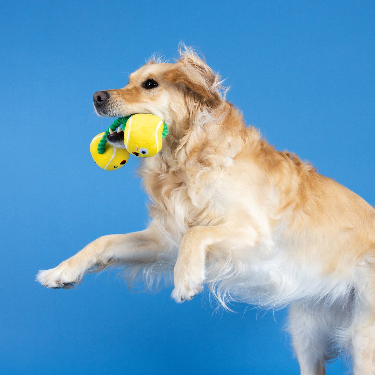 Wagsdale Game, Set, Match Plush Dog Toy With Rope