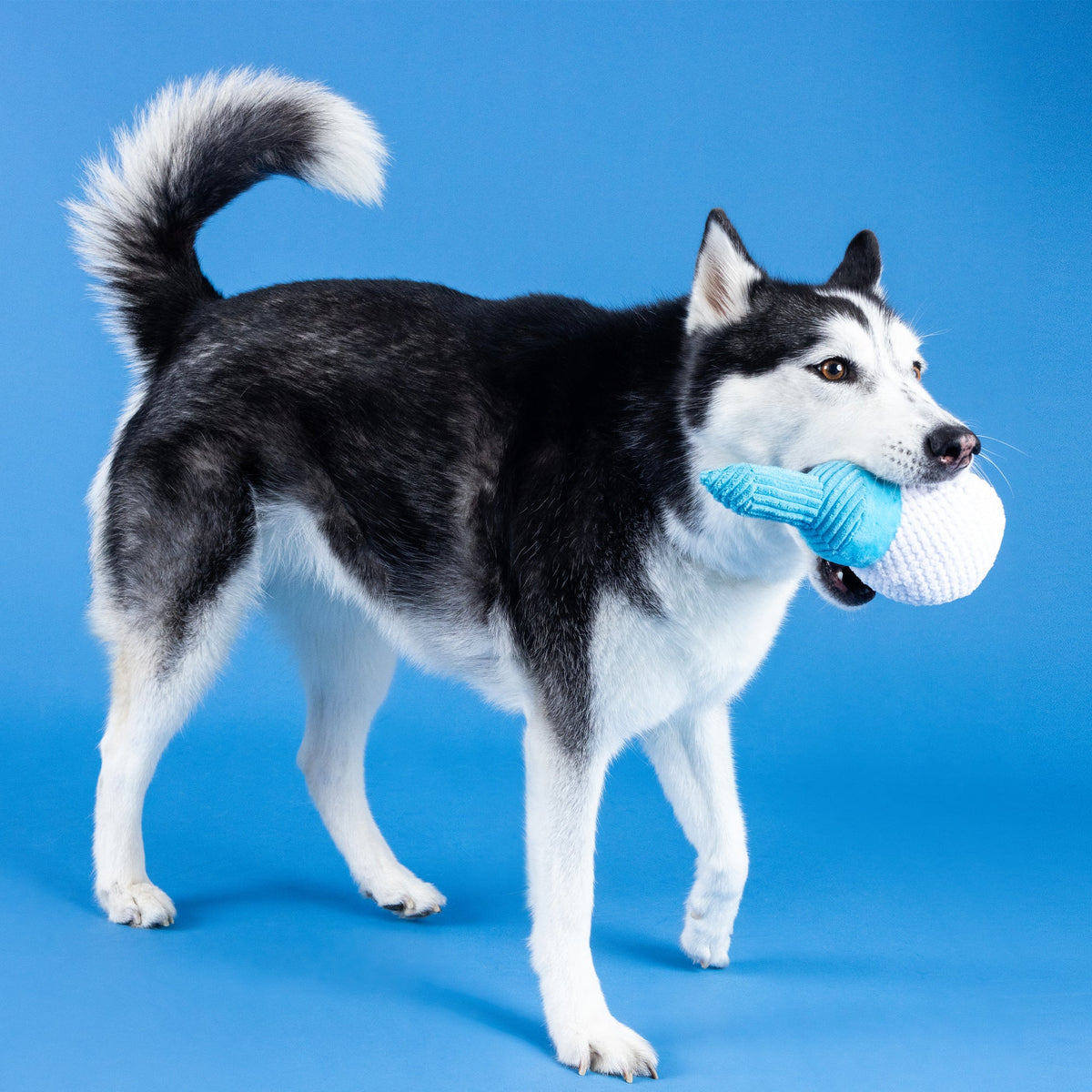 Wagsdale Today Is Tee-Riffic Dog Toy