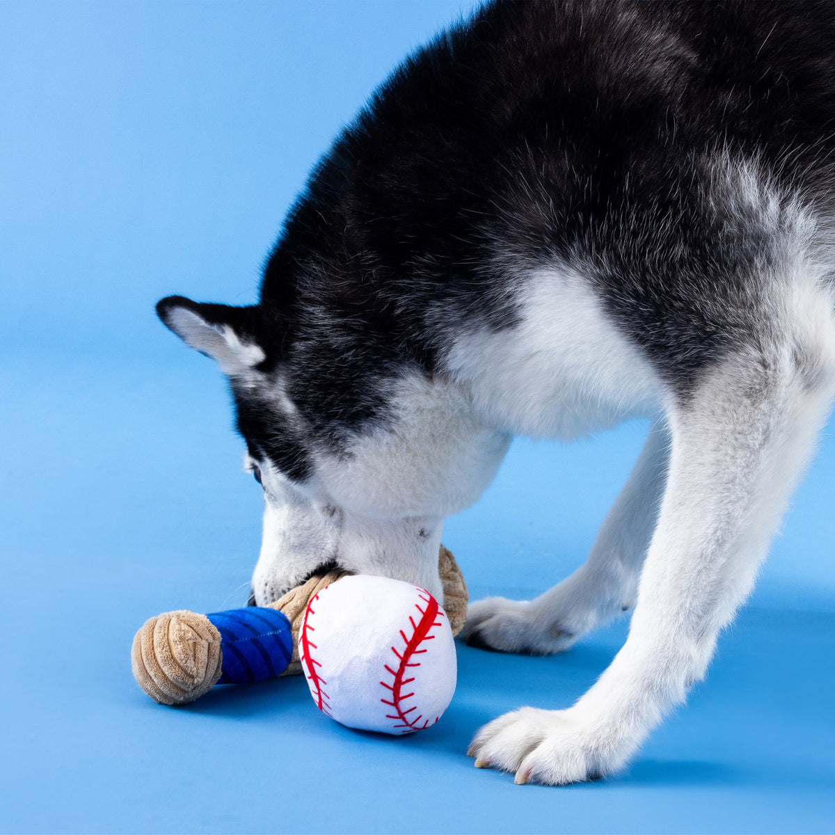 Wagsdale Batter Up Plush Dog Toy