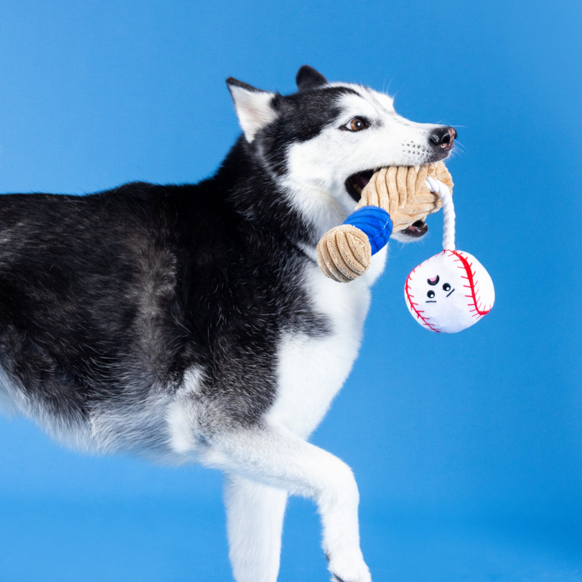 Wagsdale Batter Up Plush Dog Toy