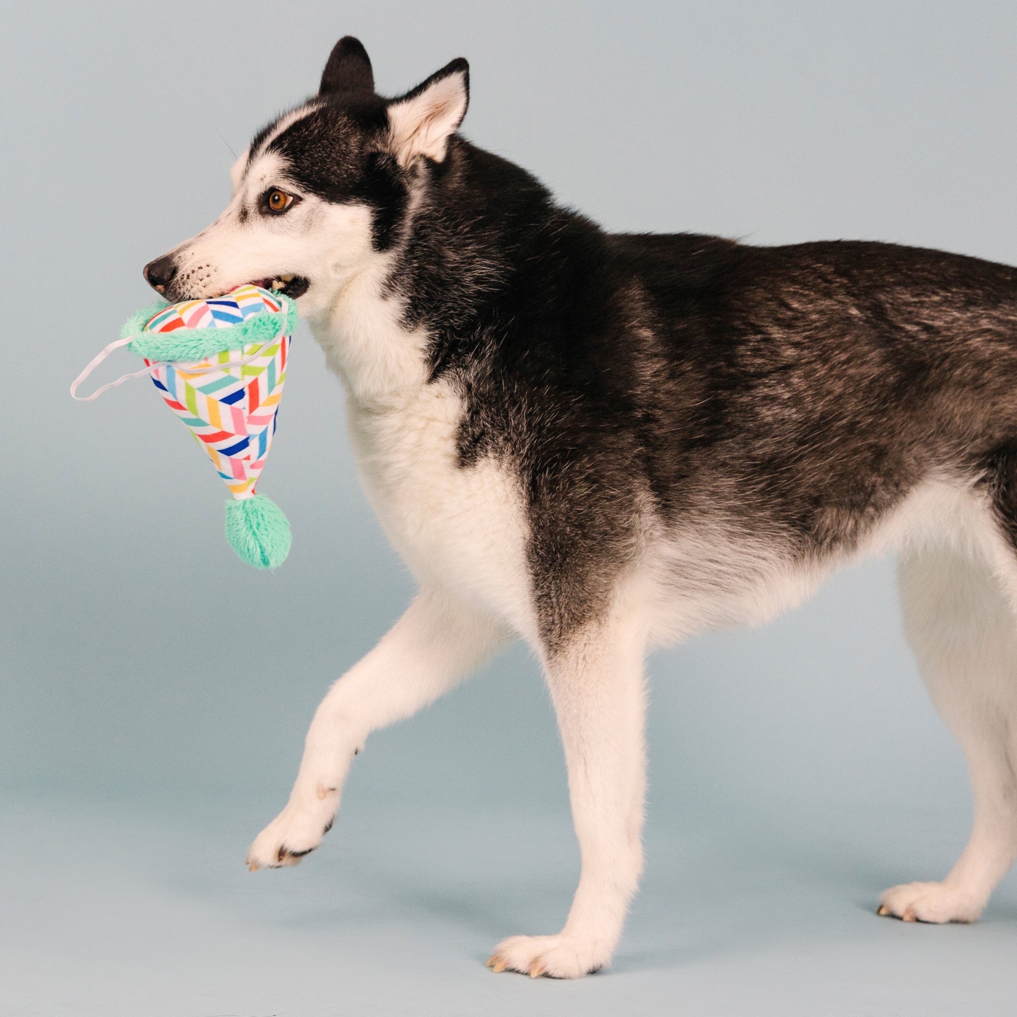 Cheers For A Barkday Wear Then Play Plush Dog Toy