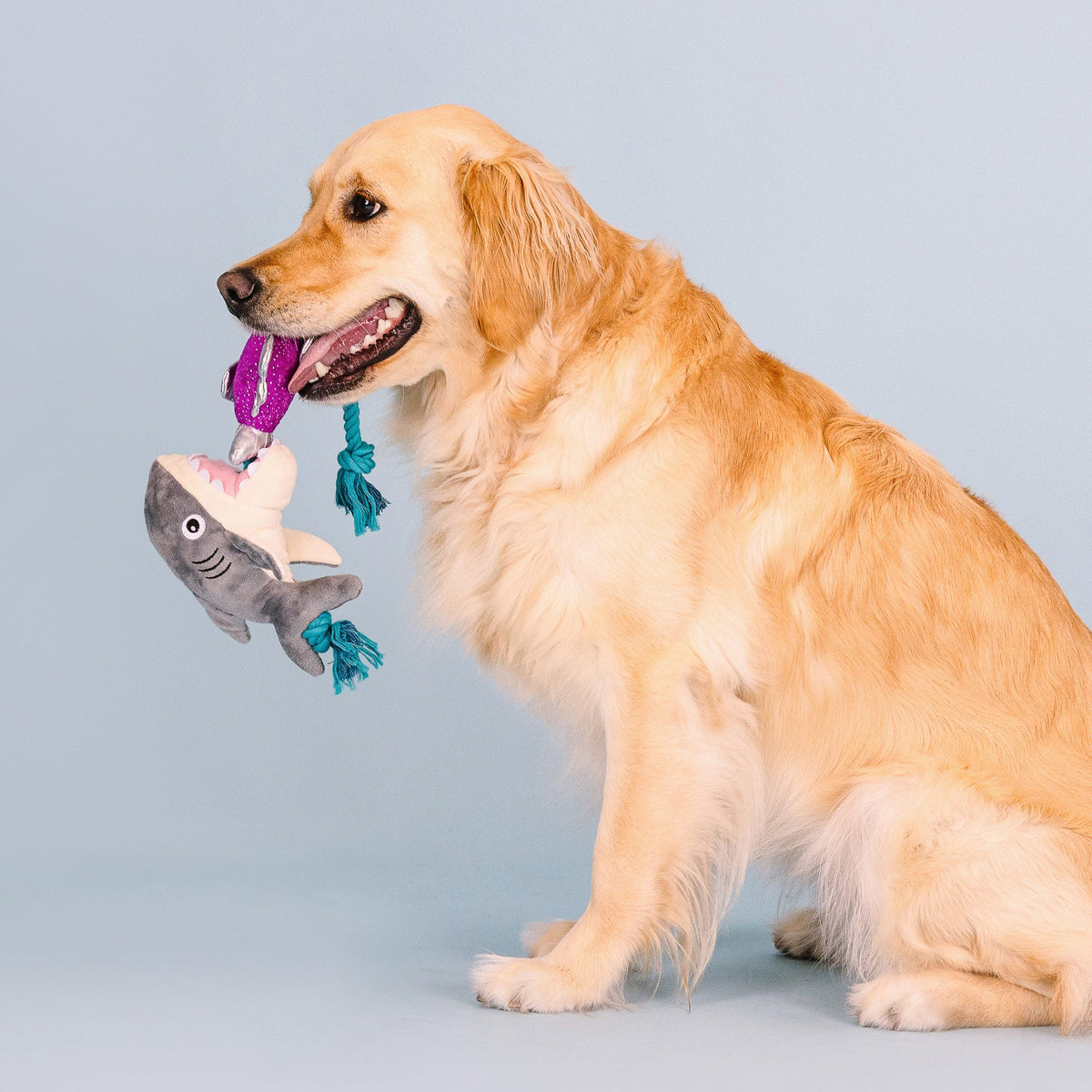 Shark Bait Plush Dog Toy With Rope