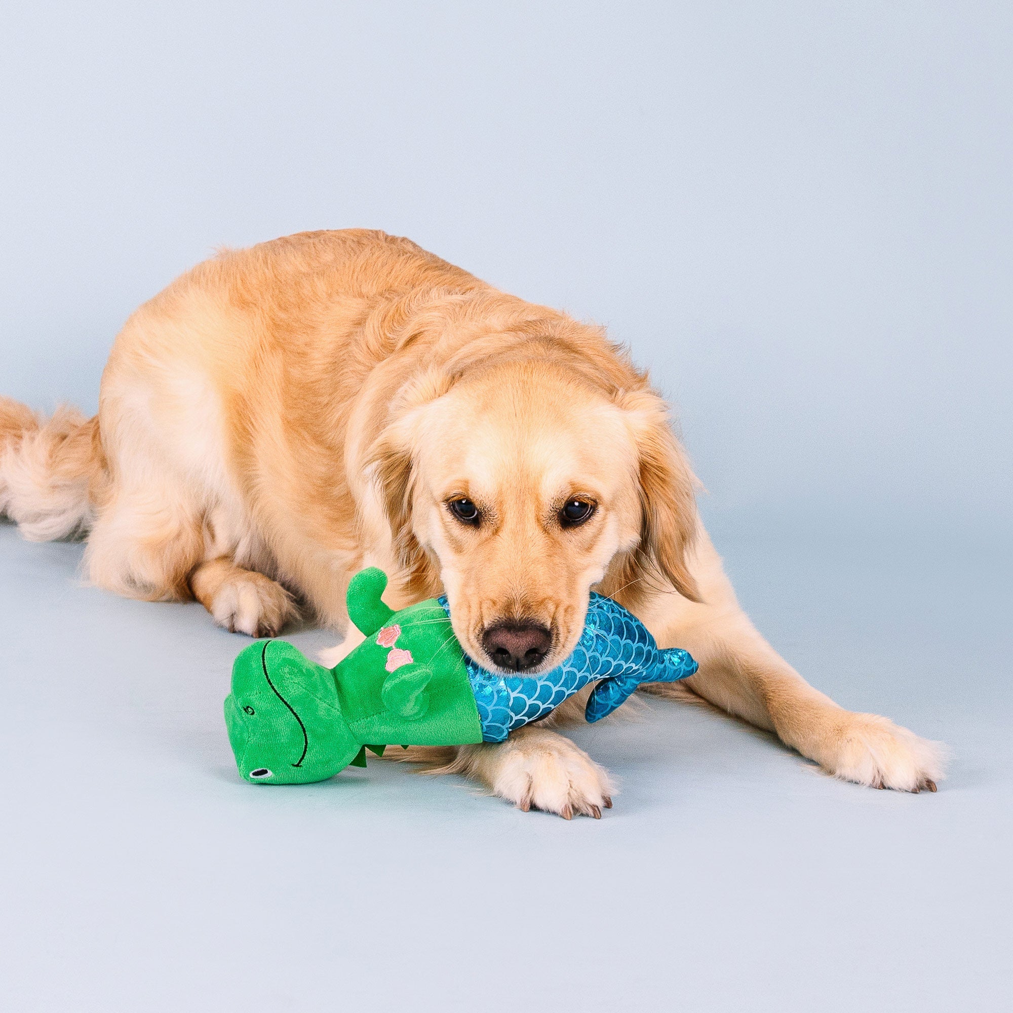 Mer-Rex Plush Dog Toy