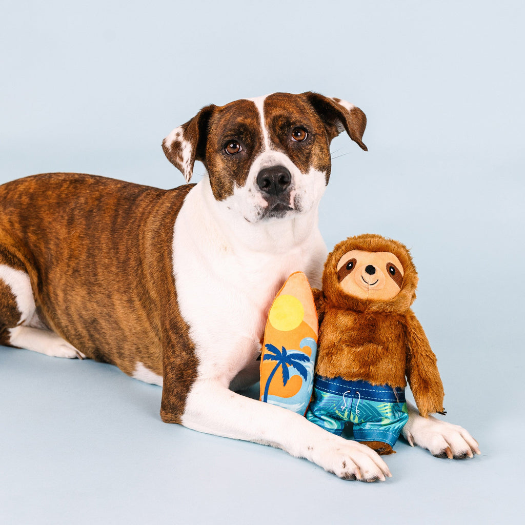 Makin' Waves Dog Toy