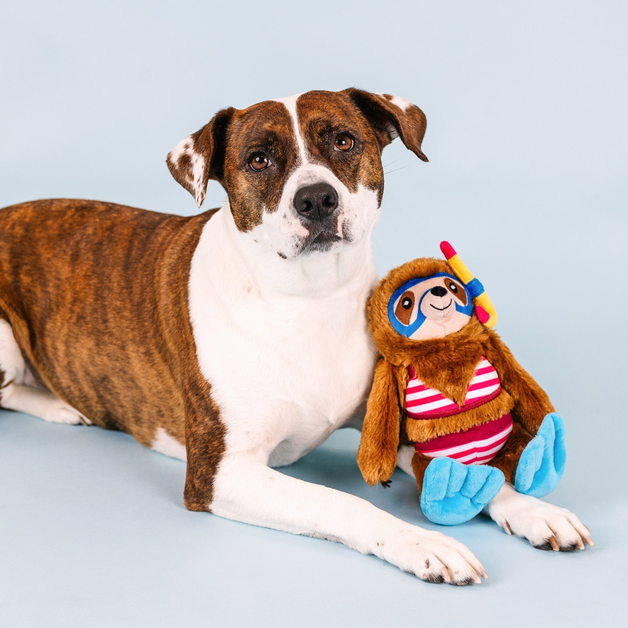 Swimmin' With The Fishes Plush Dog Toy