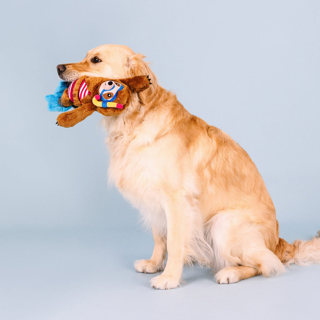 Swimmin' With The Fishes Dog Toy