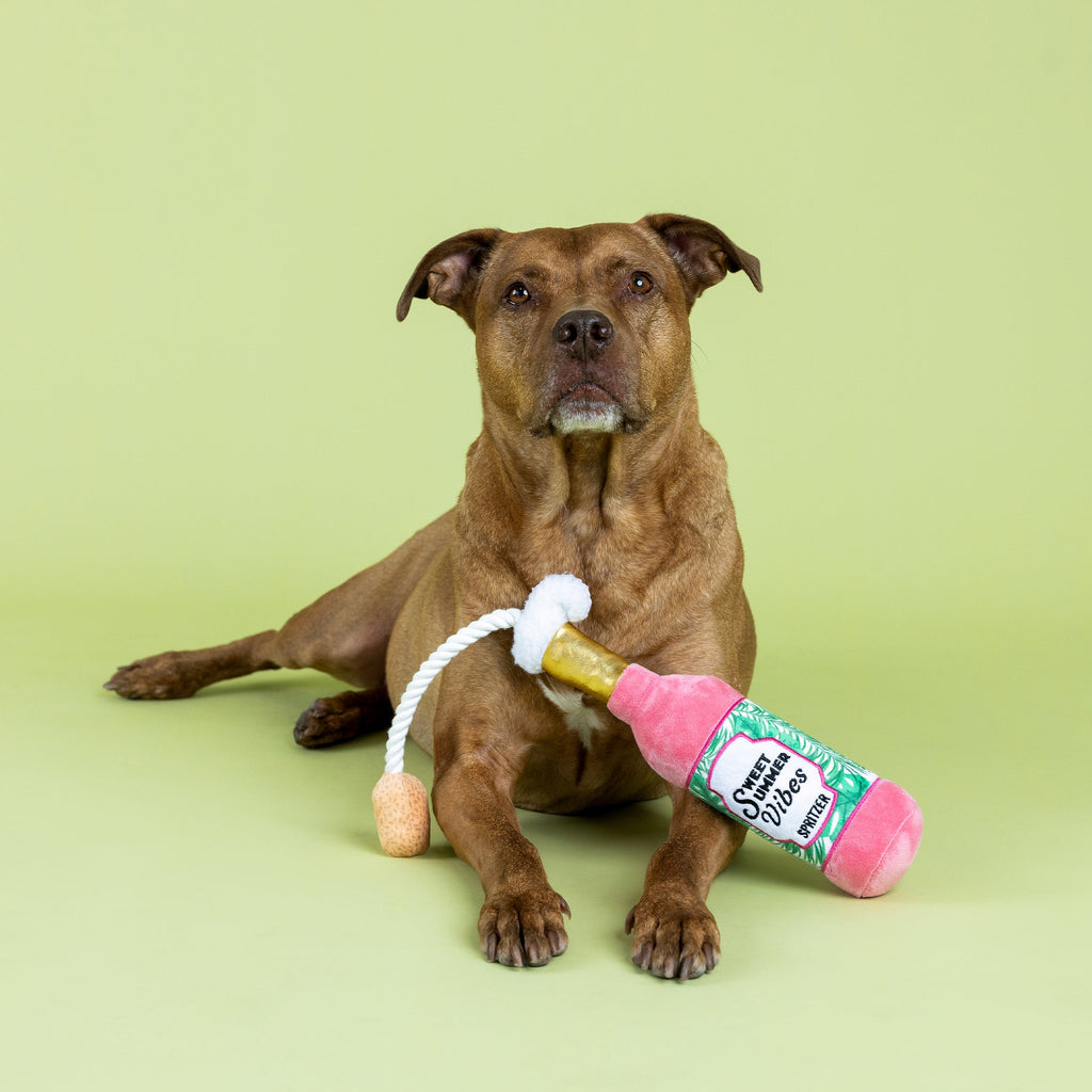 Sweet Summer Vibes Plush Dog Toy