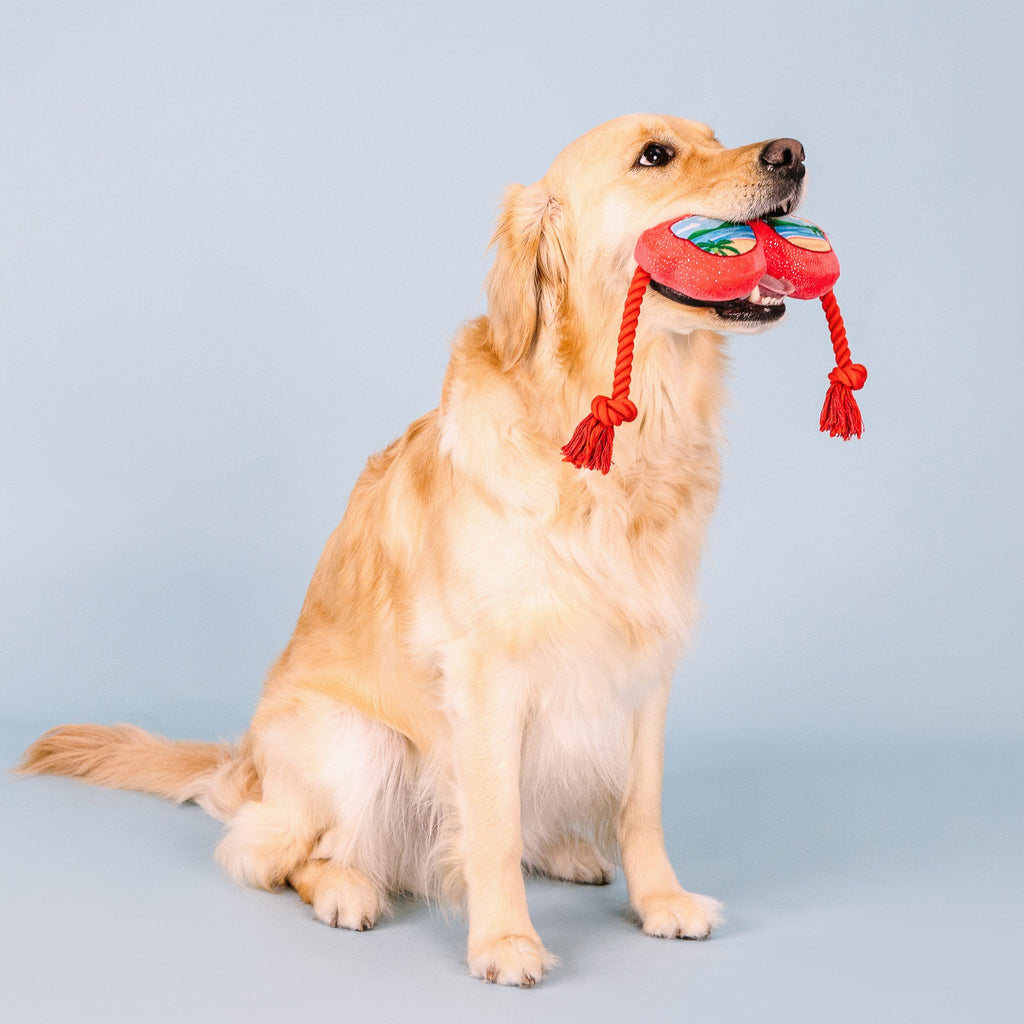 Sand And See Dog Toy