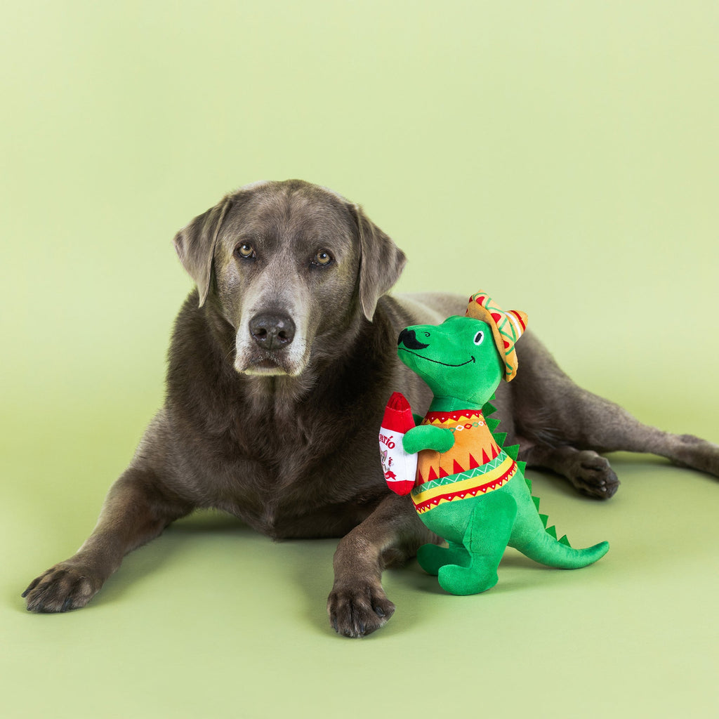 Fiesta-Saurus Plush Dog Toy