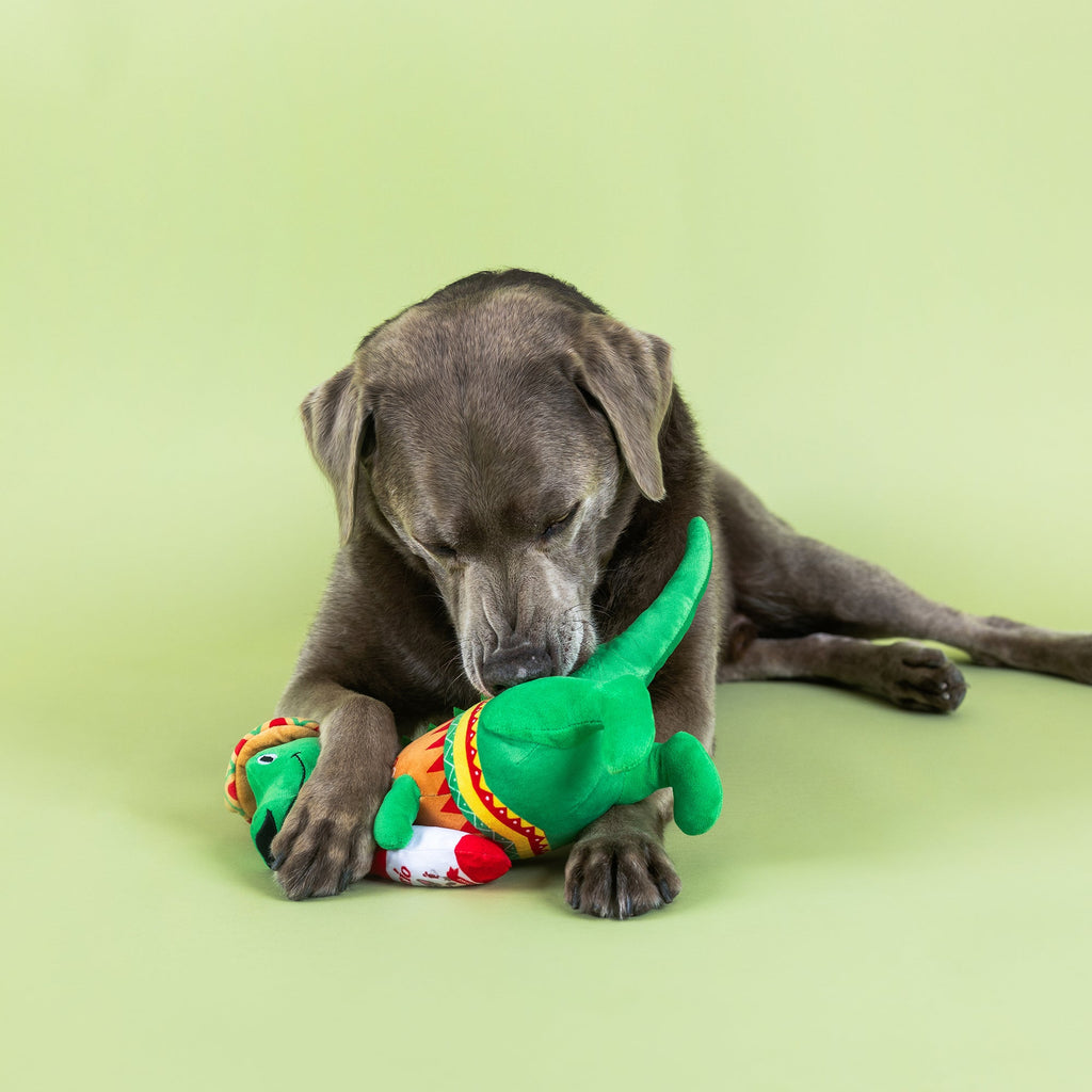 Fiesta-Saurus Plush Dog Toy