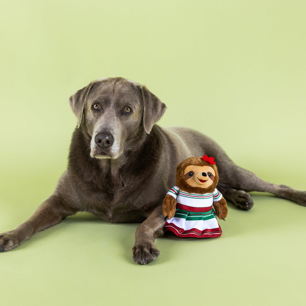 You Had Me At Hola! Plush Dog Toy
