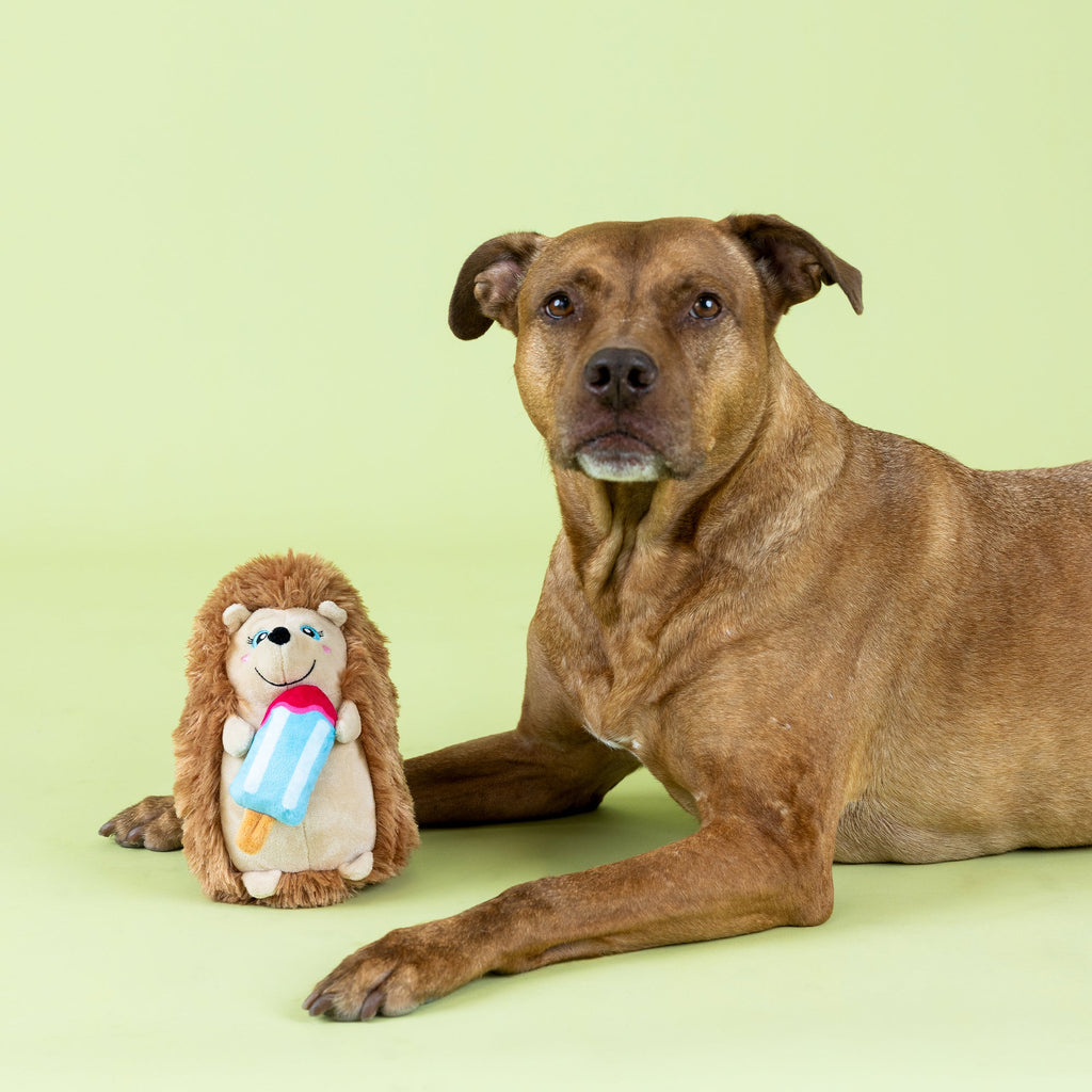 Be Cool, Be Hedgy Plush Dog Toy