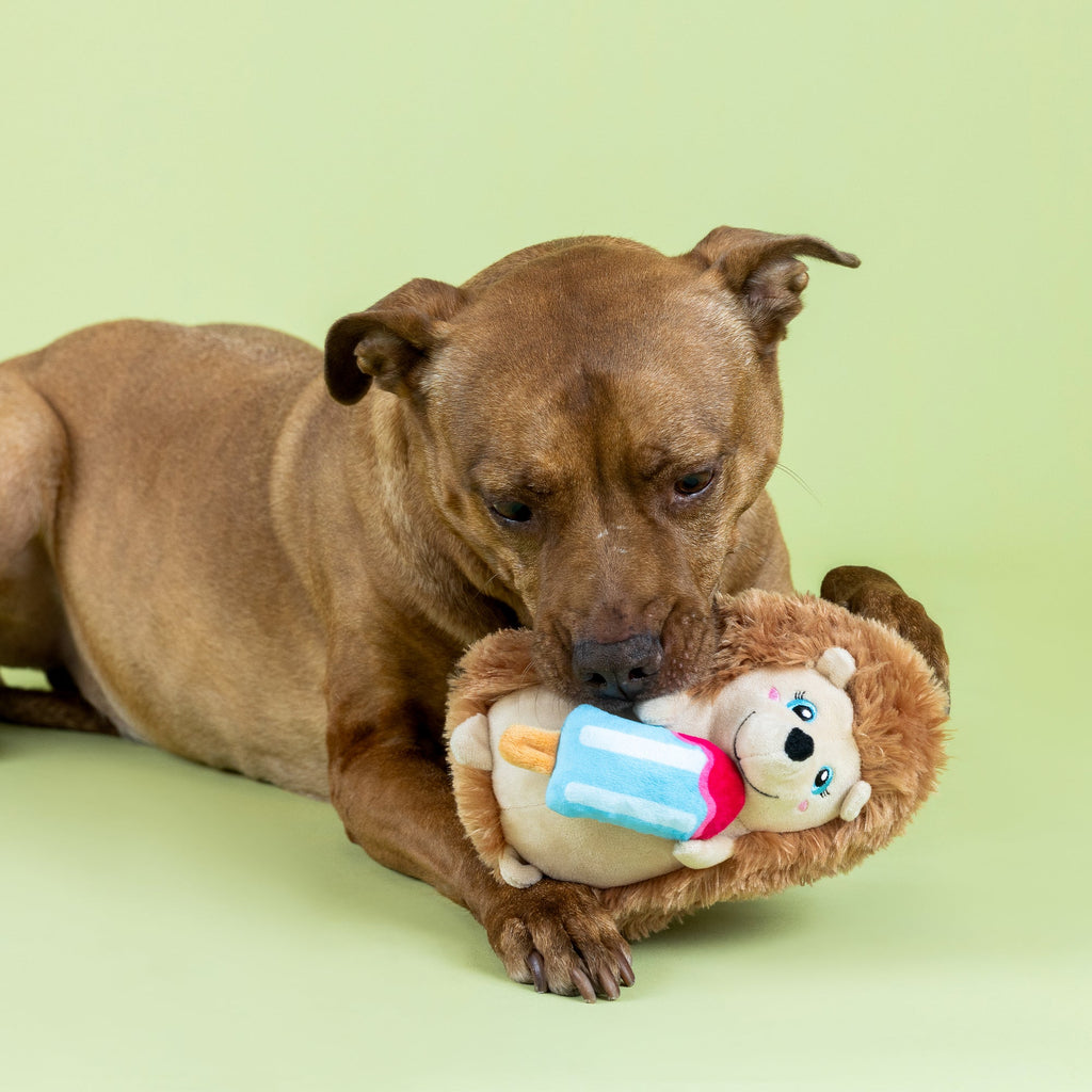 Be Cool, Be Hedgy Plush Dog Toy
