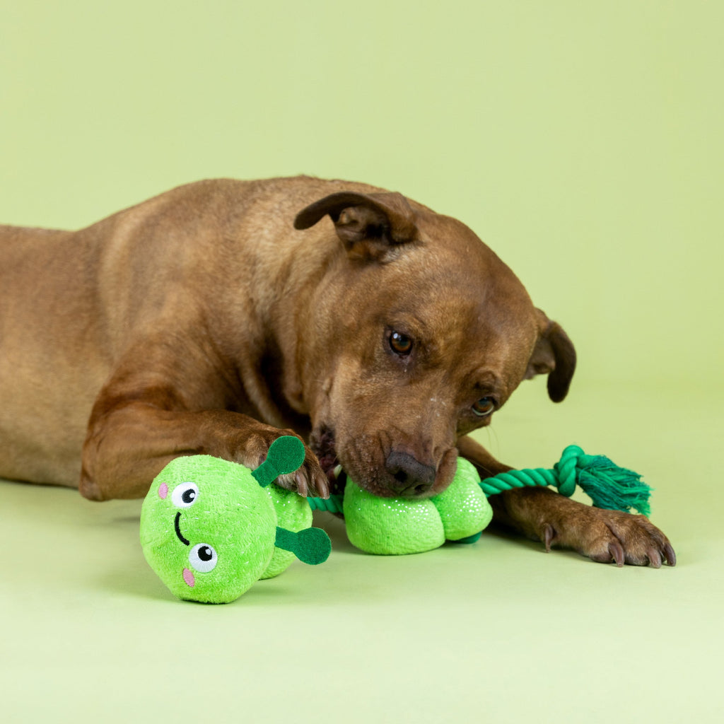 Pillar Of Society Plush Dog Toy