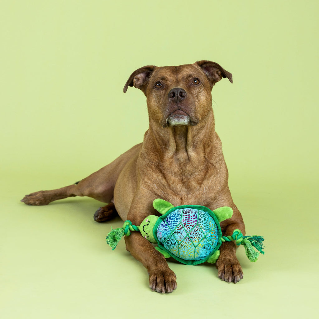 Shello There! Plush Dog Toy