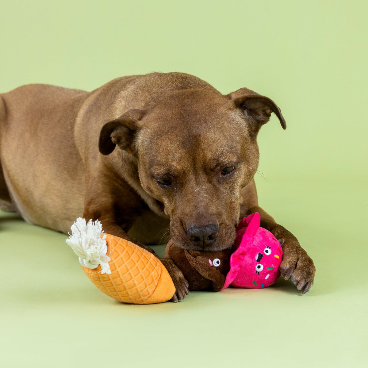 Losing Cone-Trol Plush Dog Toy With Rope