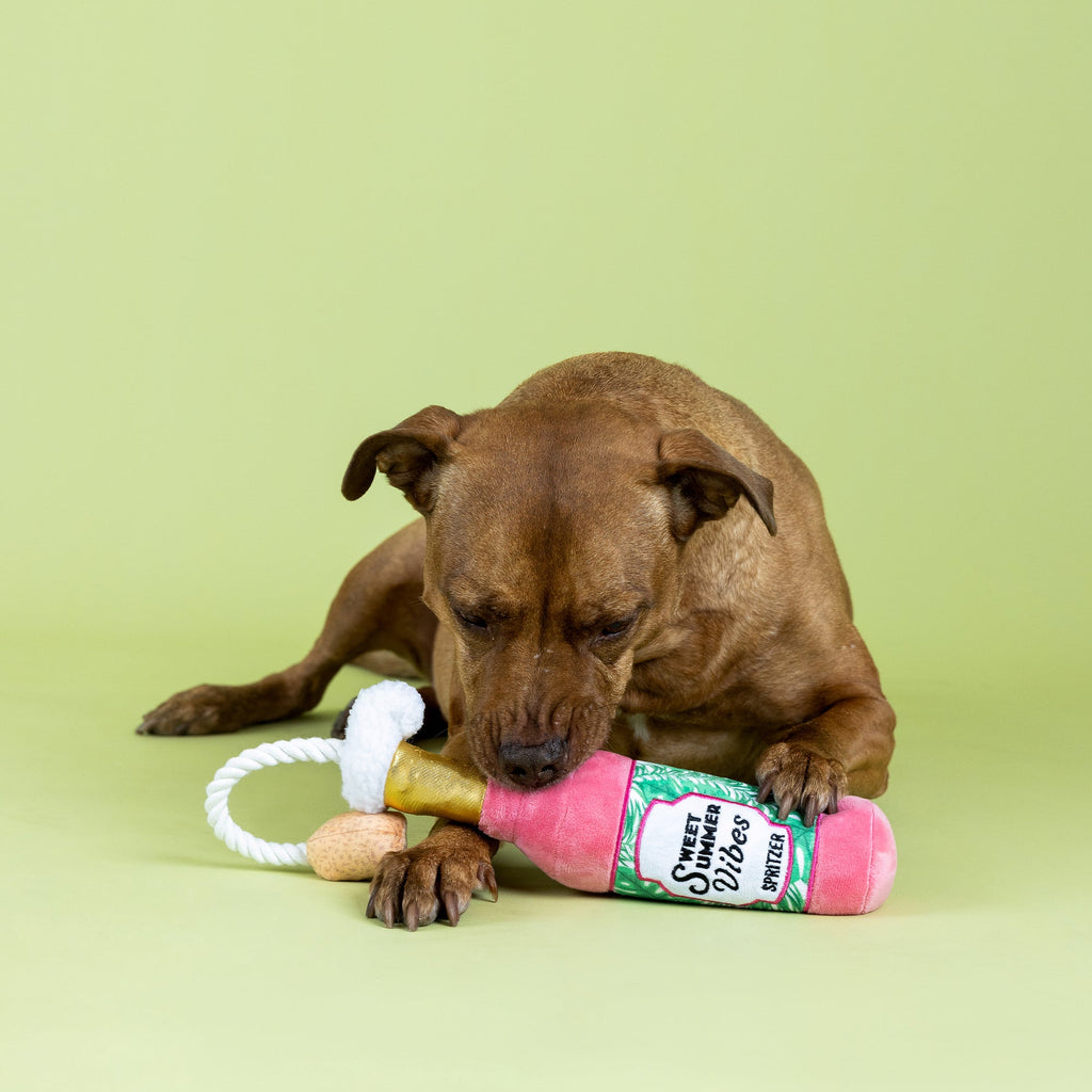Sweet Summer Vibes Plush Dog Toy