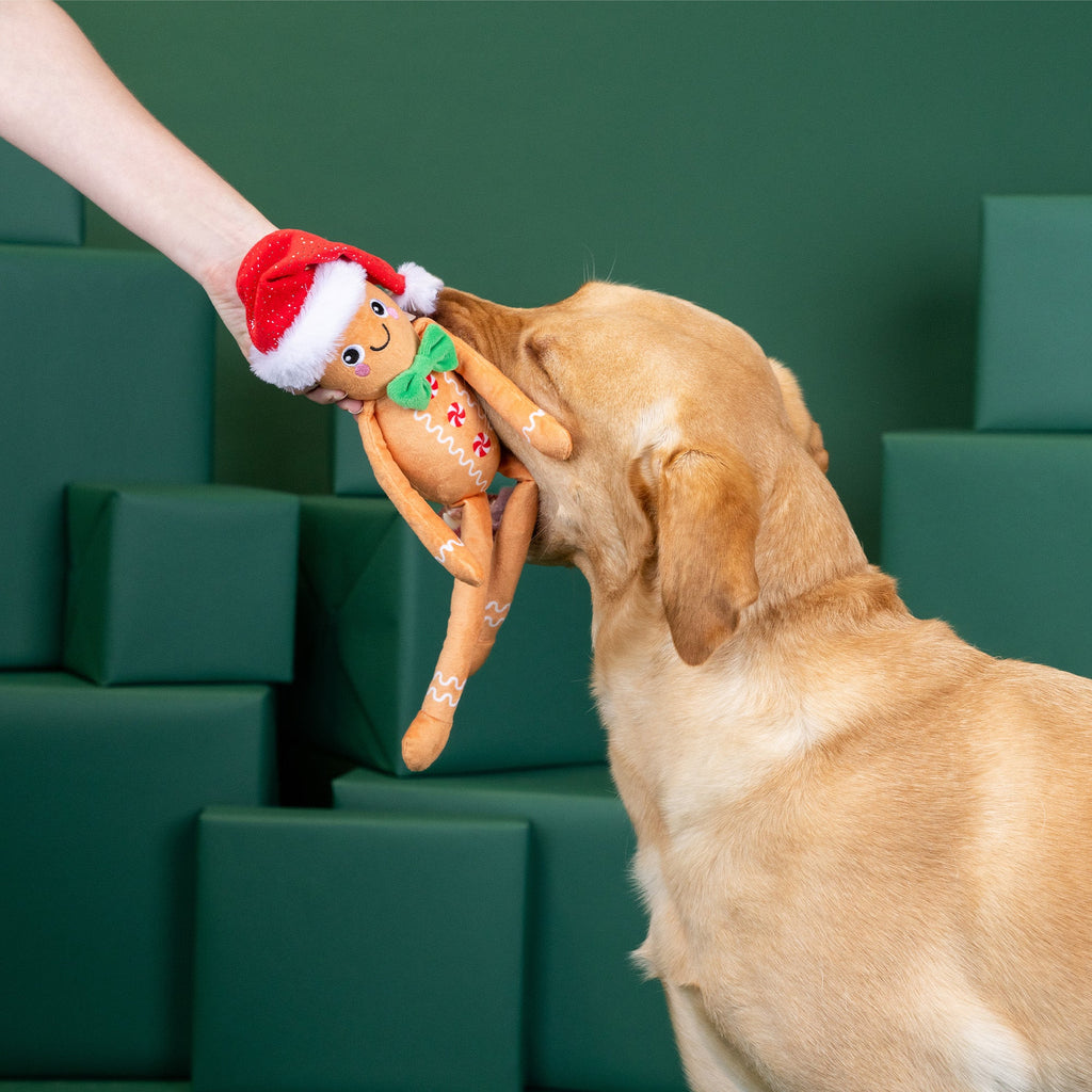 Seasons Eatings! Dog Toy