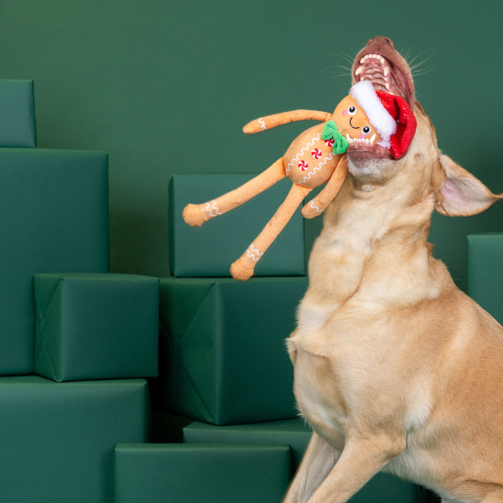 Seasons Eatings! Dog Toy