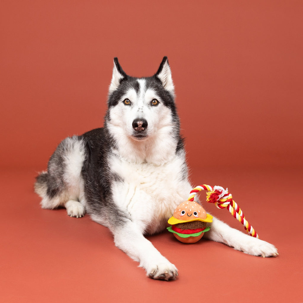 You'Re The Bun That I Want Rope Dog Toy