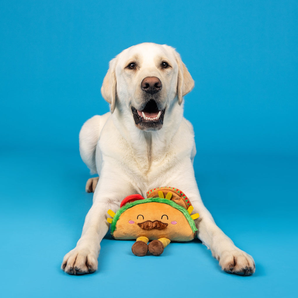 Spicy Sidekick Plush Dog Toy