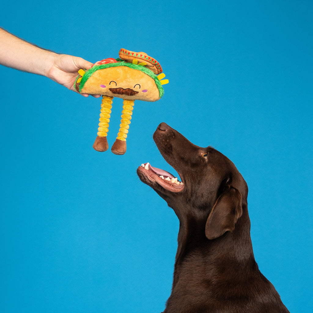 Spicy Sidekick Plush Dog Toy