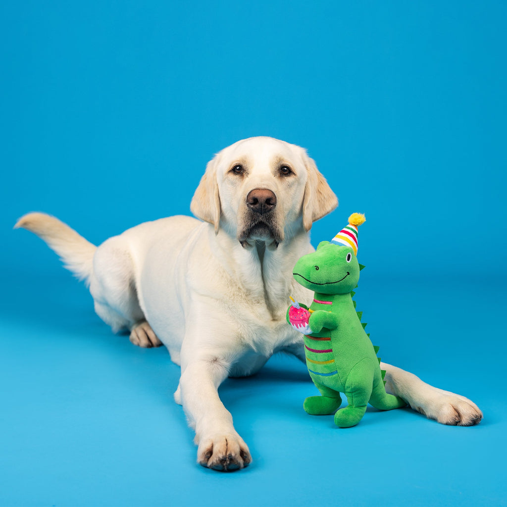 I'm How Old? Plush Dog Toy