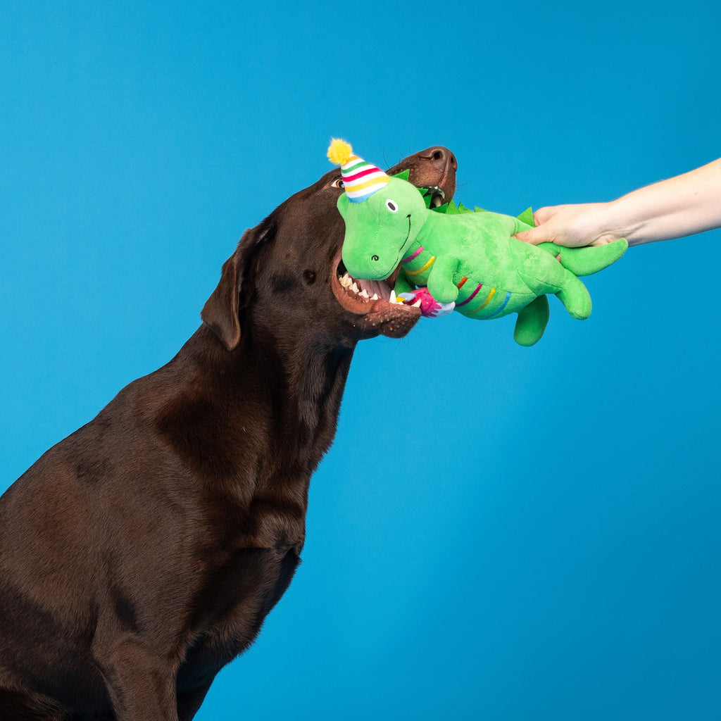 I'm How Old? Plush Dog Toy