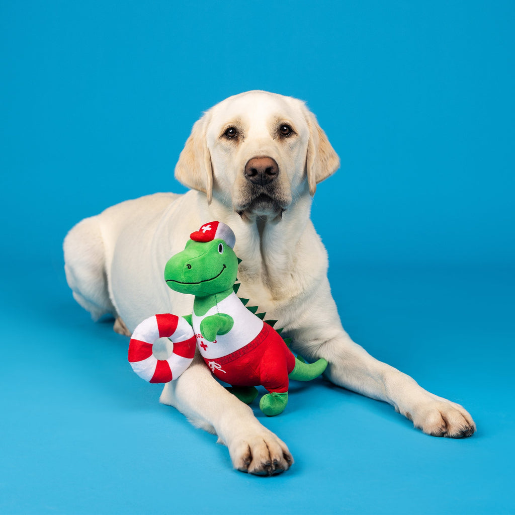 To The Rex-Cue! Plush Dog Toy