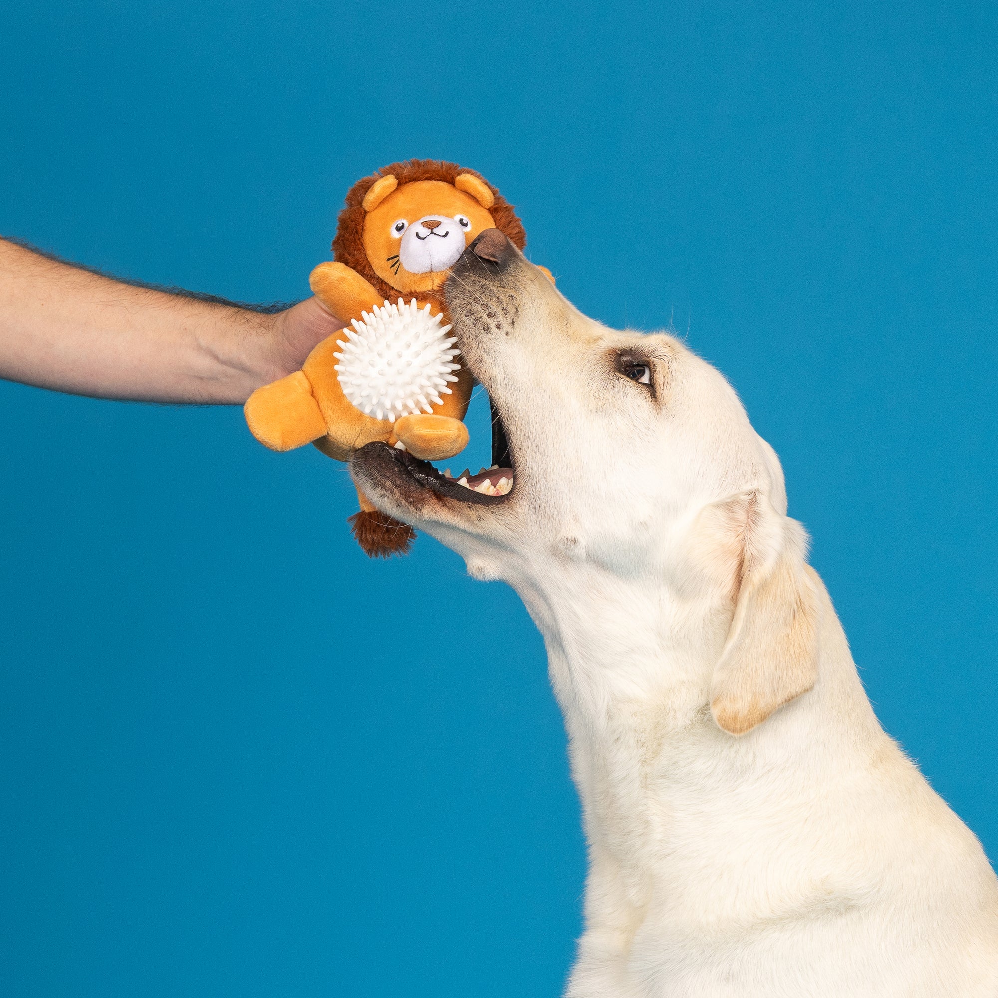 Can't Be Tamed Plush/Spiky Ball Dog Toy