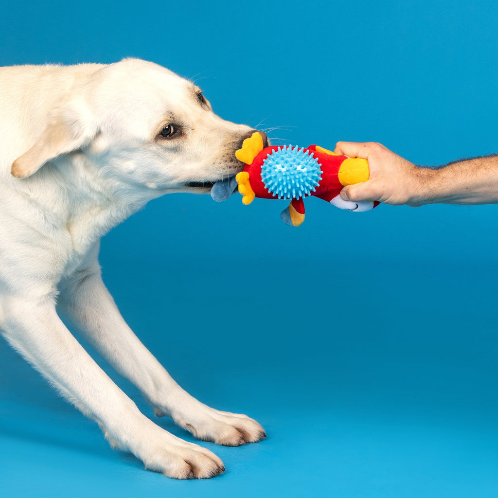 Perching Perfection Plush/Spikey Ball Dog Toy