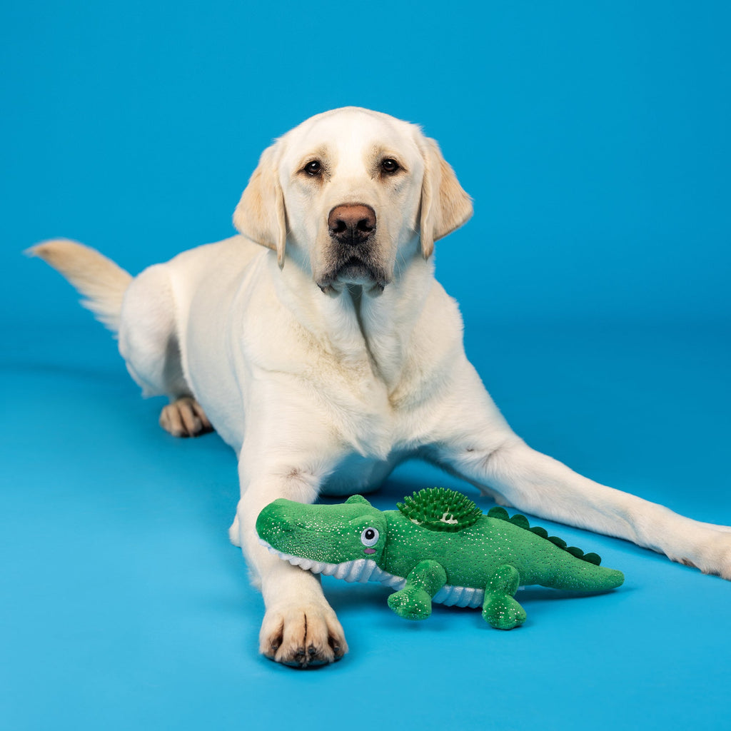 Ready To Croc Plush/Spikey Ball Dog Toy