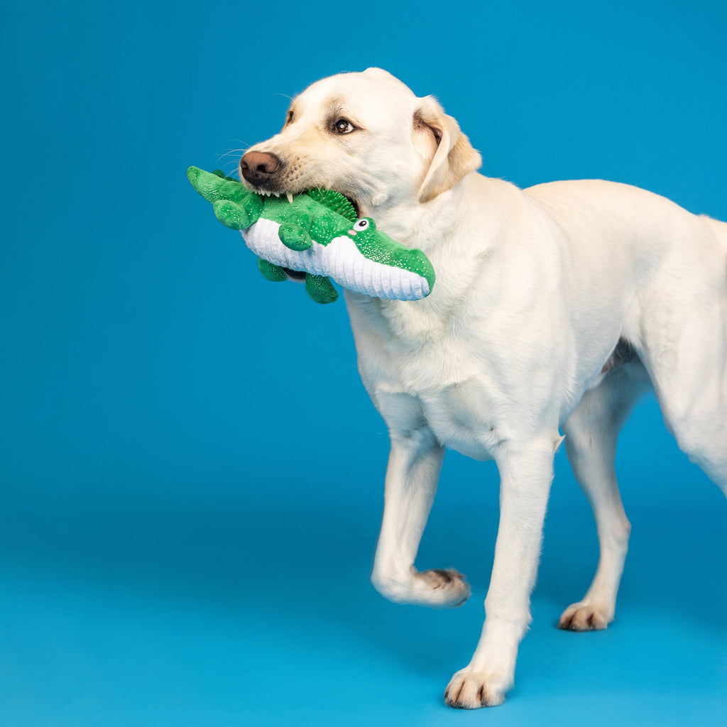 Ready To Croc Plush/Spikey Ball Dog Toy