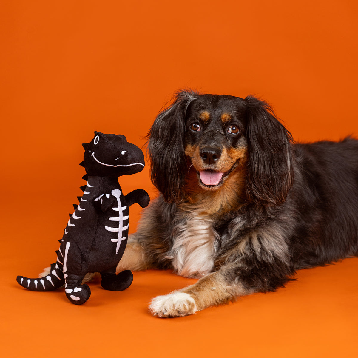 Trick Rawr Treat Plush Glow-In-The-Dark Dog Toy