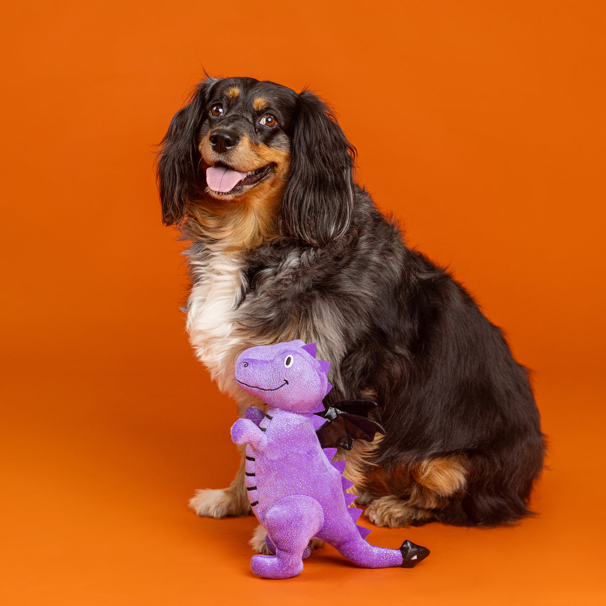 Don't Be a Drag-On Plush Dog Toy