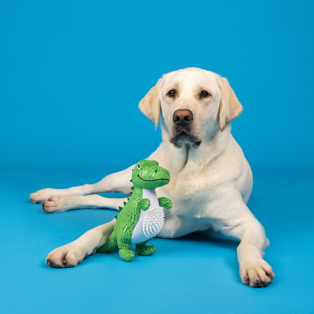 Roar And Explore Plush/Spikey Ball Dog Toy