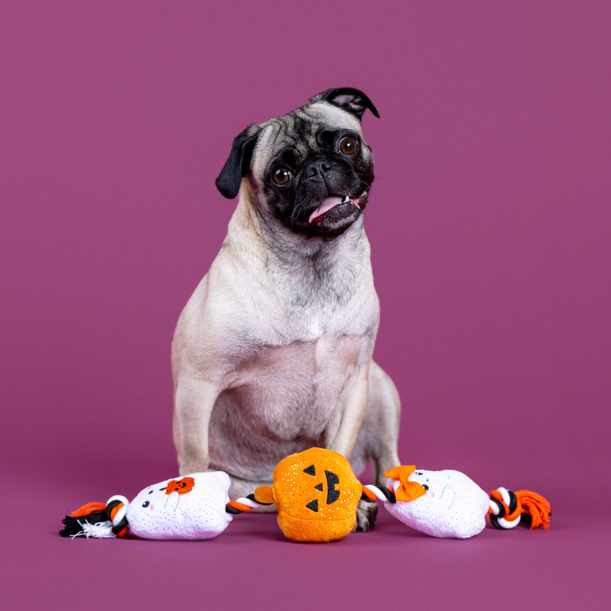 Ghostly Gang Plush Dog Toy With Rope