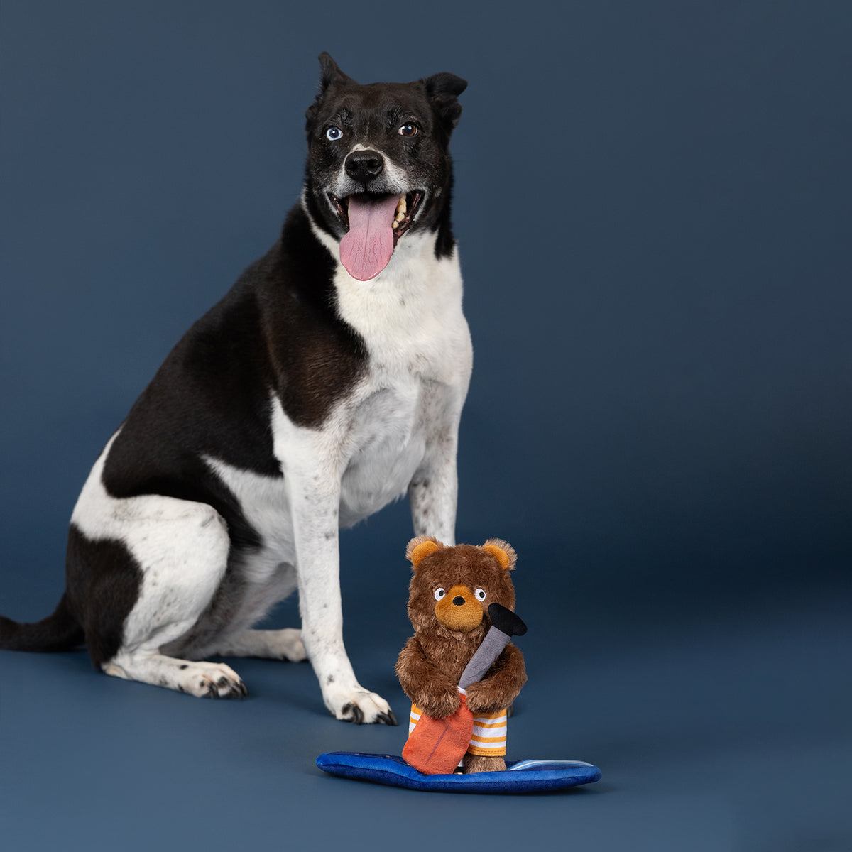Wagsdale Water You Waiting for? Plush Dog Toy