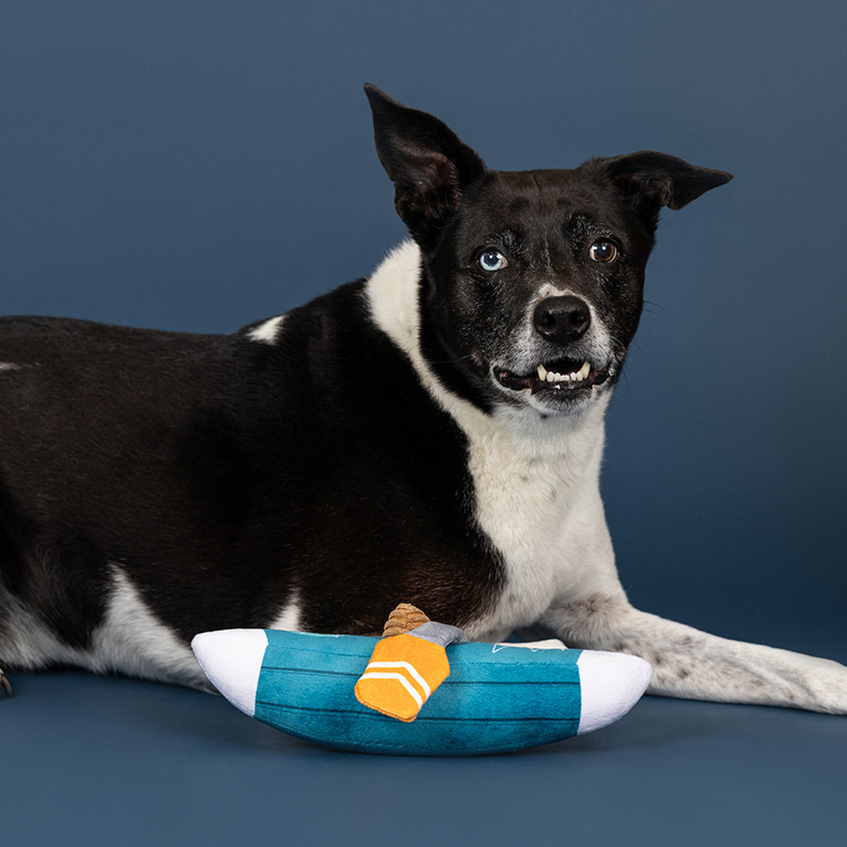 Wagsdale Go With The Flow Plush Dog Toy