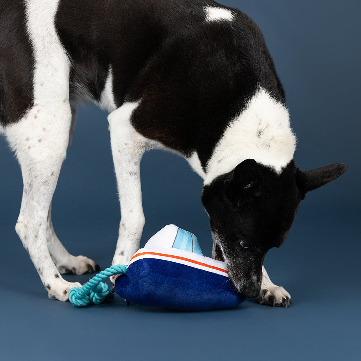 Wagsdale Boat-Loads of Fun Plush Dog Toy